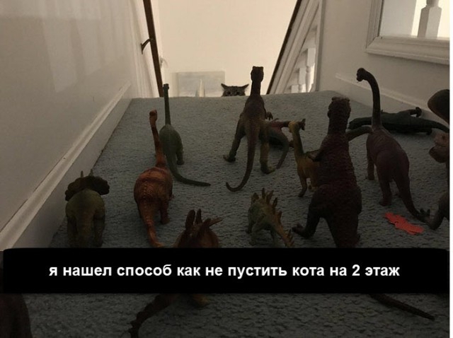 __ Я нашел СПОСОБ как НЕ ПУСТИТЬ кота на 2 ЗТВЖ