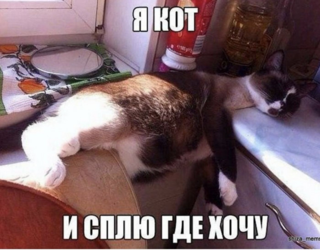 _ и сплю ГДЕ хочу