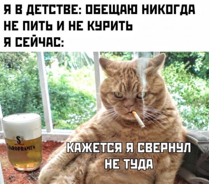я в детстве пввшдш никпгдд не пить и н кнпить я пвйчдп ТЗК і _ 8 с 4 _ кджвтся я ЕВЕРНЁ _кнв тндд л