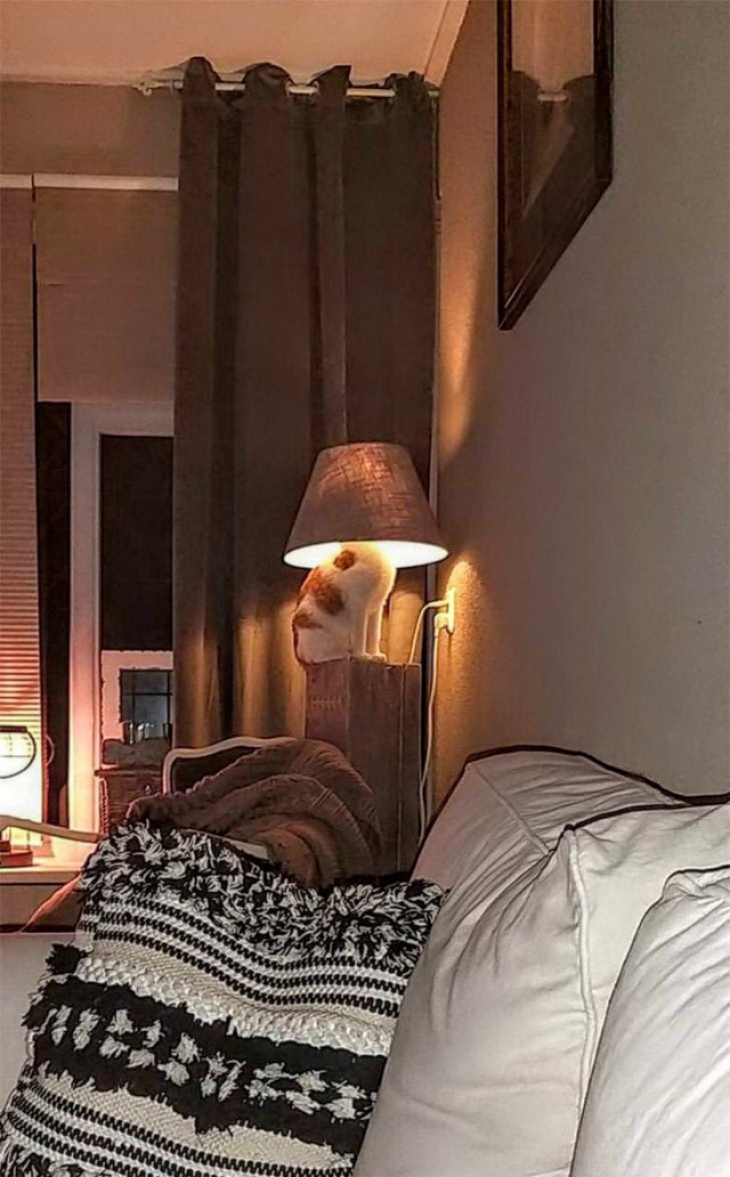 т гі