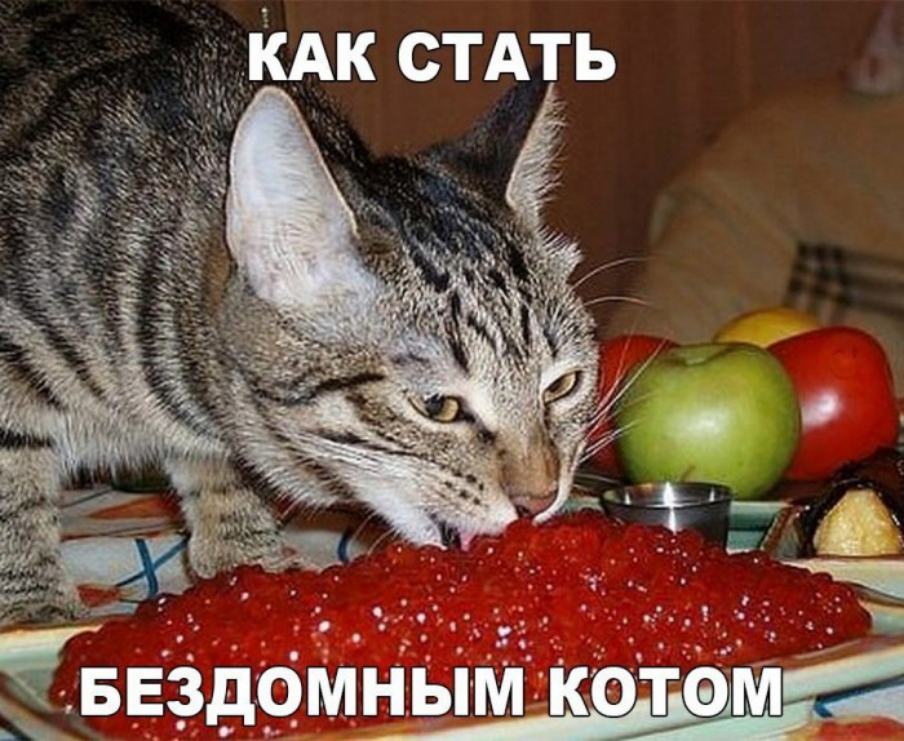 КАК СТАТЬ