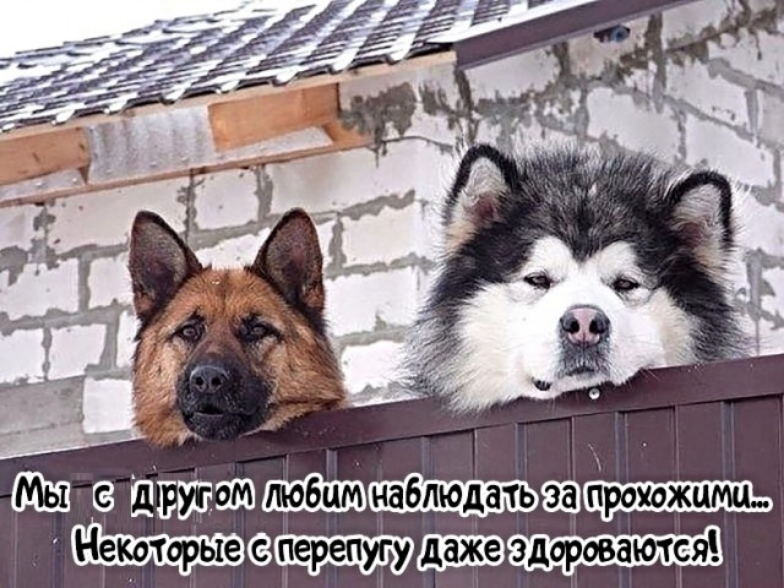 3 шптжЩЩшьаатшшшь Ьещртршню