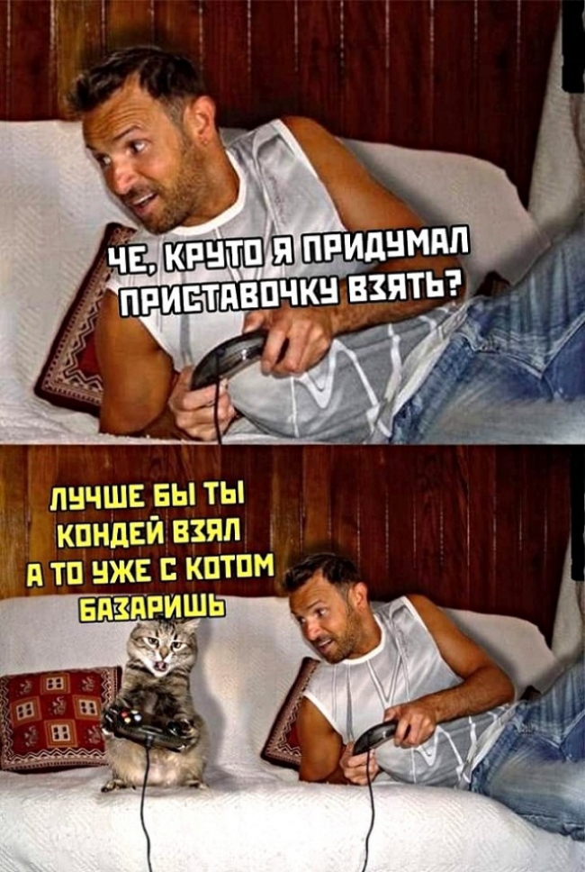пнчшв вы ты кпндсй взял