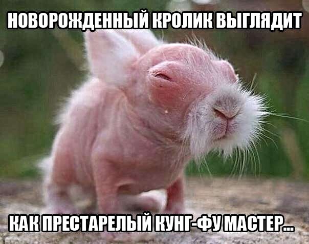 НПВПРПЖДЕННЫЙ пэйнн ВЫШПДИТ