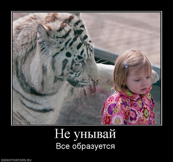 Не унывай Все образуется ремонтов