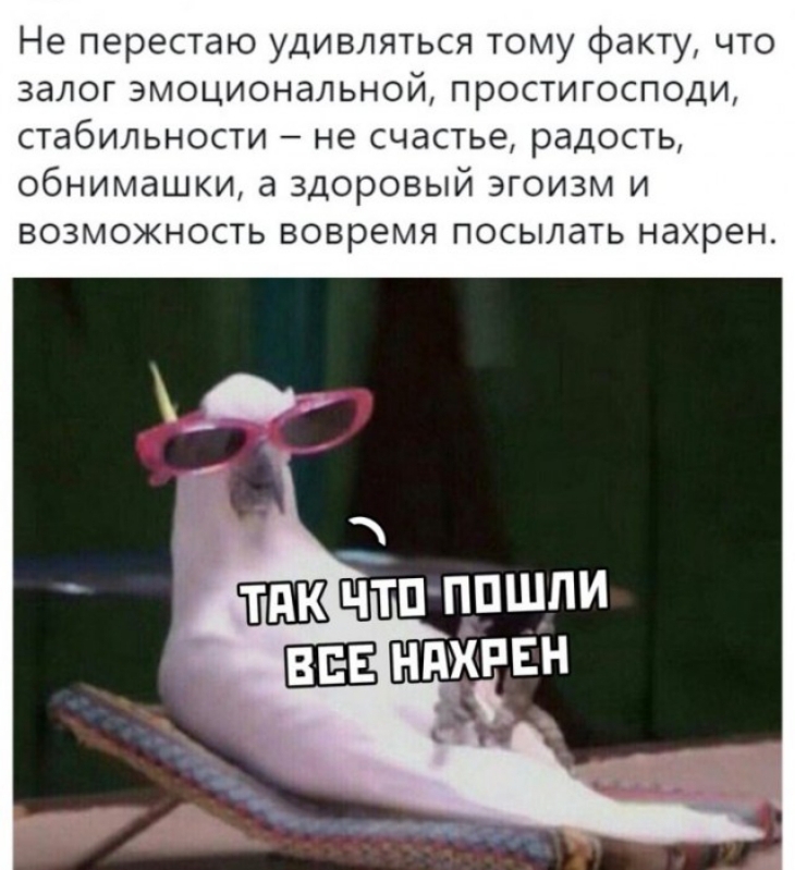 Не перестаю удивляться тому факту что залог эмоциональной простигосподи стабильности не счастье радость обнимашки а здоровый эгоизм и возможность вовремя посылать нахрен