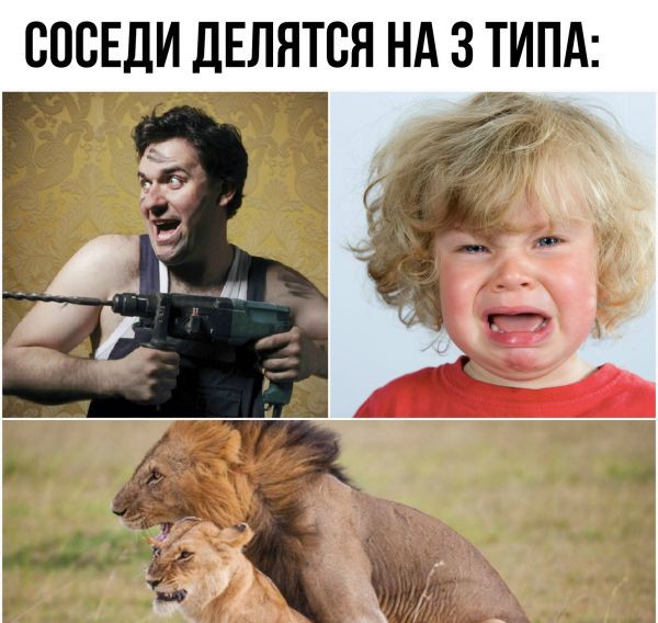 СОСЕДИ ДЕЛЯТСЯ НА 3 ТИПА