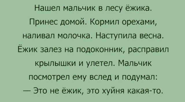Нашеп мальчик в лесу ёжика Принес домой Кормил орехами наливал молочка Насгупипа весна Ёжик залез на подоконник расправип крылышки и улетел Мальчик посмотрел ему вслед и подумал Это не ёжик это хуйня какая то