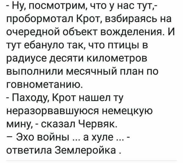 Ну посмотрим что у нас тут пробормотал Крот взбираясь на очередной объект вожделения И тут ебануло так что птицы в радиусе десяти километров выполнили месячный план по говнометанию Паходу Крот нашел ту неразорвавшуюся немецкую мину сказал Червяк Эхо войны а хуле ответила Землеройка