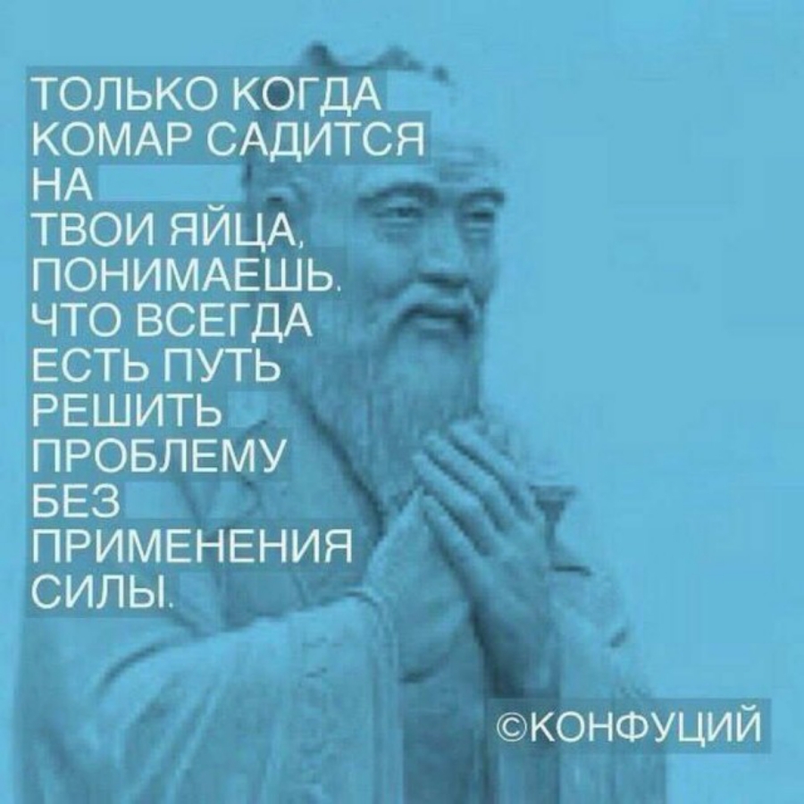 ТОЛЬКО КОГДА КОМАР САДИТСЯ НА ТВОИ ЯИЦА ПОНИМАЕШЬ ЧТО ВСЕГДА ЕСТЬ ПУТЬ РЕШИТЬ ПРОБЛЕМУ БЕЗ ПРИМЕНЕНИЯ СИЛЫ КОНФУЦИЙ