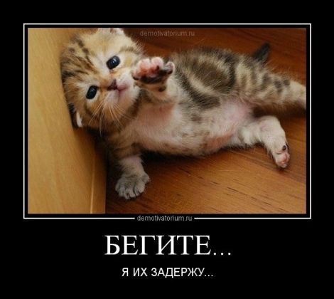 Я ИХ 3АДЕРЖУ