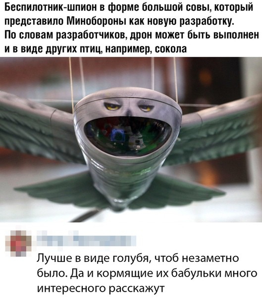 Беспипотник шпион в форме большой совы который представило Минобороны как новую разработку По словам разработчиков дрон может быть выполнен и в виде других птиц например сокола _ Лучше в виде голубя чтоб незаметно было Да и кормящие их бабульки много интересного расскажут