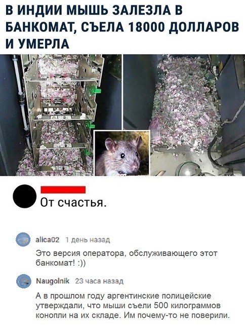 В ИНДИИ МЫШЬ ЗАЛЕЗЛА В БАНКОМАТ СЪЕЛА 18000 дОПЛАРОВ И УМЕРЛА От счастья зс3п2 и вд Это версия оператора обслуживающего этот банкомат мадам 3 назад А в прошлом году аргентинские полицеиские утверждали что мыши съели 500 килограммов конопли на их складе Им почемуата не поверили