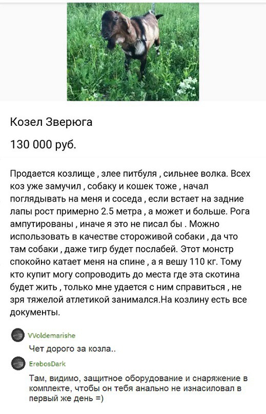 Козел Зверюга 130 000 руб Продается КОЗПИЩЕ ЗПЕЕ ПИТбУПЯ СИЛЬНЕЕ ВОПКд ВСЕХ коз уже замучил собаку и кошек тоже начал ПОГЛЯдЫБаТЬ на меня И соседа если ЕСТЗЕТ на задние лапы рост примерно 25 метра а может и больше Рога ЗМПУТИРОЕБНЫ ИНЕЧЕ Я ЭТО не писал бы МОЖНО использовать в качестве стороживой собаки да что там собаки даже тигр будет послабей Этот монстр спокойно катает меня на спине а я вешу 11