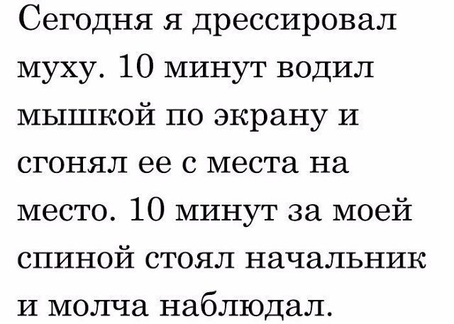 Сегодня я дрессировал муху 10 минут водил мышкой по экрану и сгонял ее с места на место 10 минут за моей спиной стоял начальник и молча наблюдал