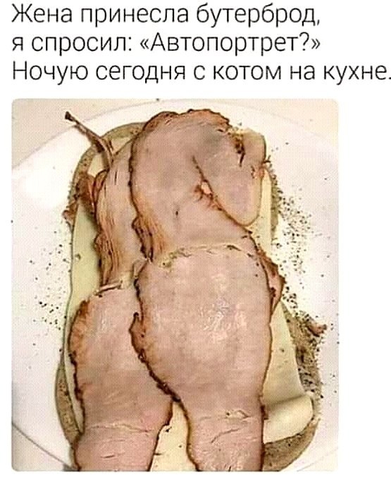 Жена принесла бутерброд я спросил Автопортрет Ночую сегодня с котом на кухне