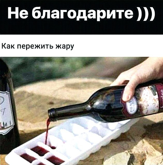 Не благодарите Как пережить жару