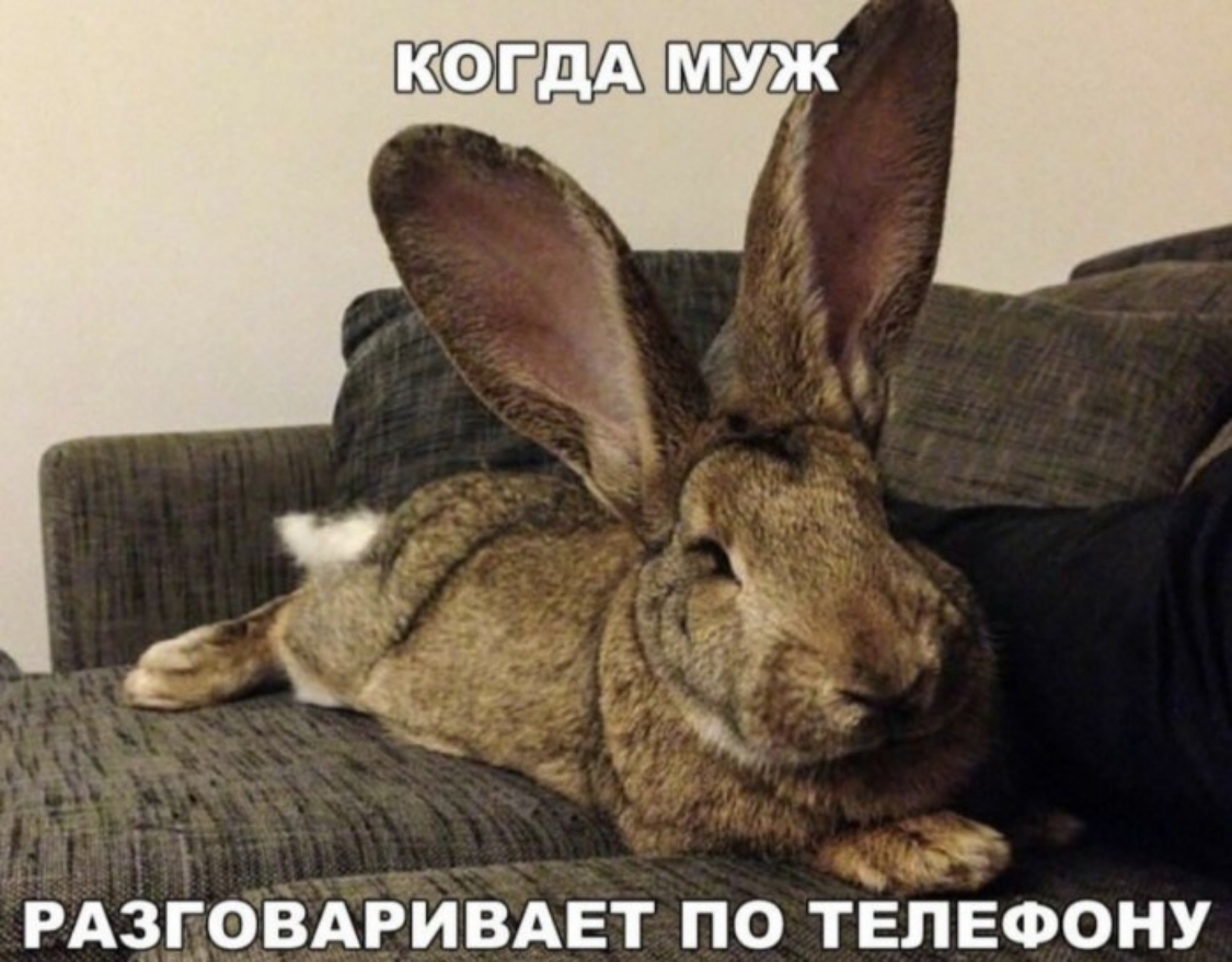 РАЗЁОВАРИВАЕТ по тігпвфону