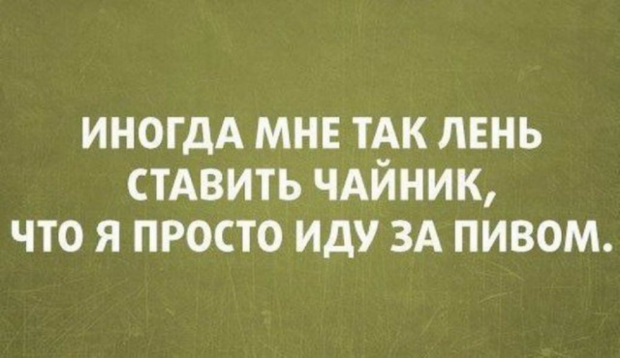 ИНОГДА МНЕ ТЭК ЛЕНЬ СТАВИТЬ ЧАИНИК ЧТО Я ПРОСТО ИДУ ЗА ПИВОМ