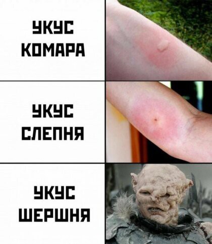 НКНЕ КПМПРП НКНЕ ЕПЕПНП швршня д Ё _ к
