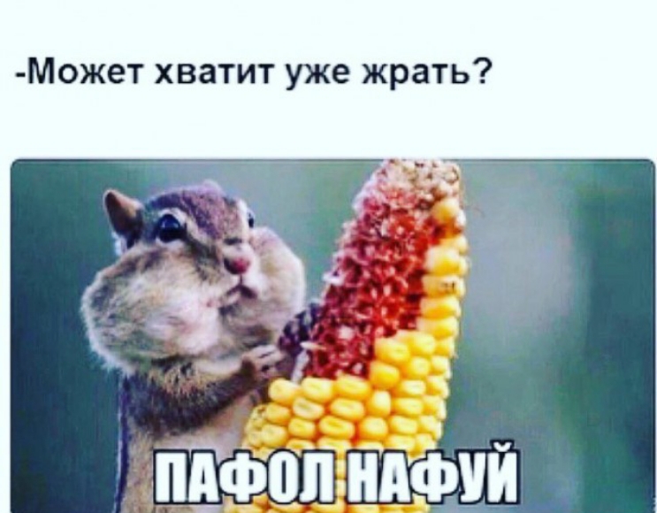 Ь Т а р ж Т И Т а В Х Т е ж 0 м
