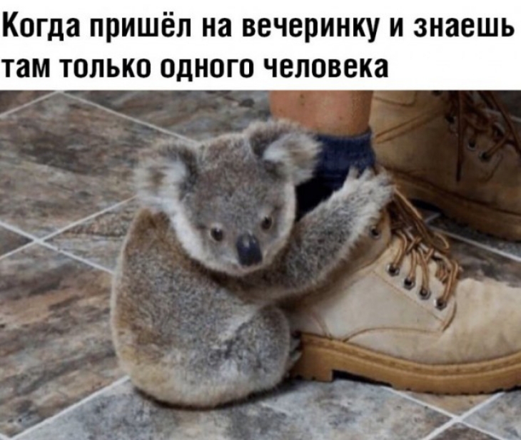Когда пришёл на вечеринку и знаешь там только одного человека д __ _