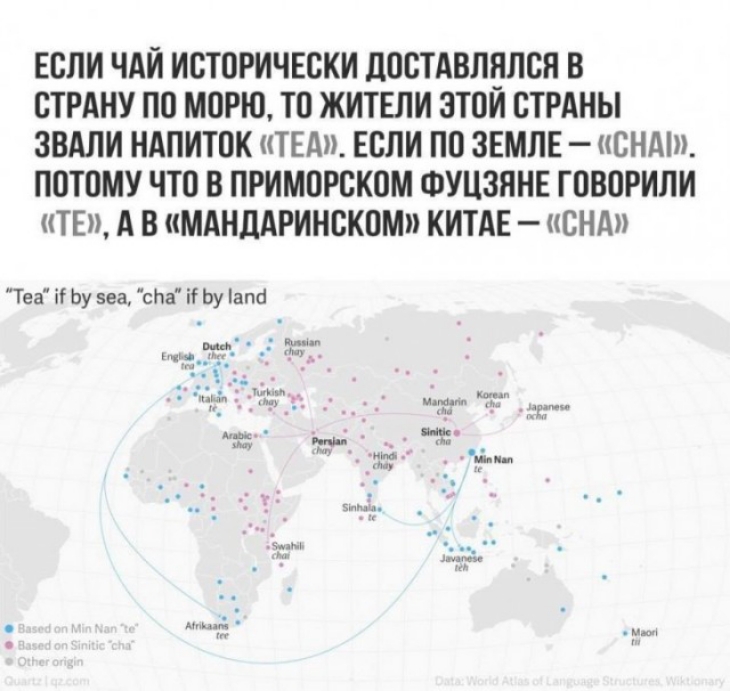 ЕСЛИ ЧАЙ ИСТОРИЧЕСКИ ПОСТАВЛНЛСЯ В СТРАНУ ПО МОРЮ ТО ЖИТЕЛИ ЗТСИ СТРАНЫ ЗВАЛИ НАПИТОК ТЕА ЕСЛИ ПО ЗЕМЛЕ СНАШ ПОТСМУ ЧТО В ПРИМОРСКОМ ФУЦЗЯНЕ ГСВСРИЛИ ТЕ А В МАНДАРИНСКПМ КИТАЕ СНА Теа іі Ьу 5еа сЬа іі Ьу Тапа