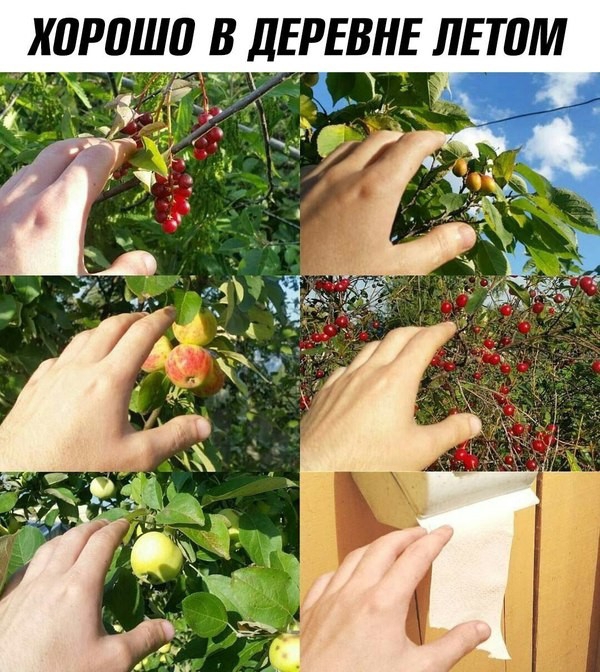 харашо в дтвнв лпам