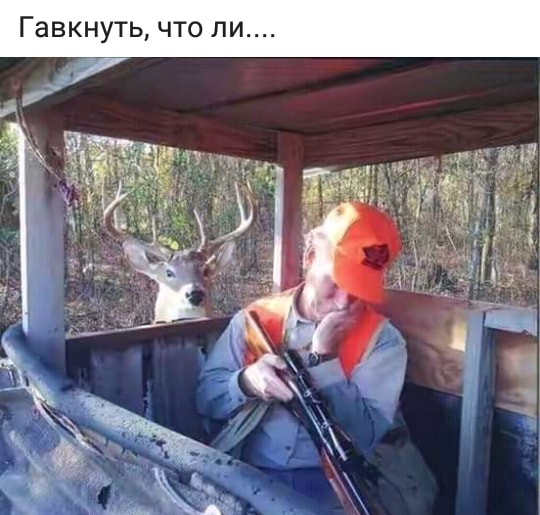 Гавкнуть что ли
