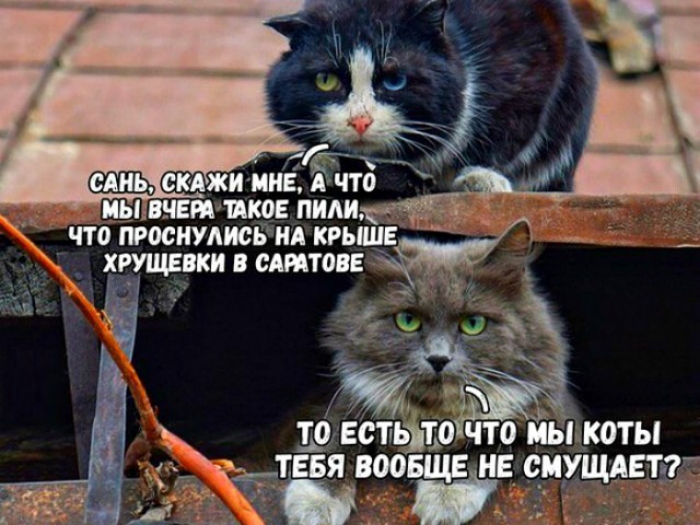 і дэ