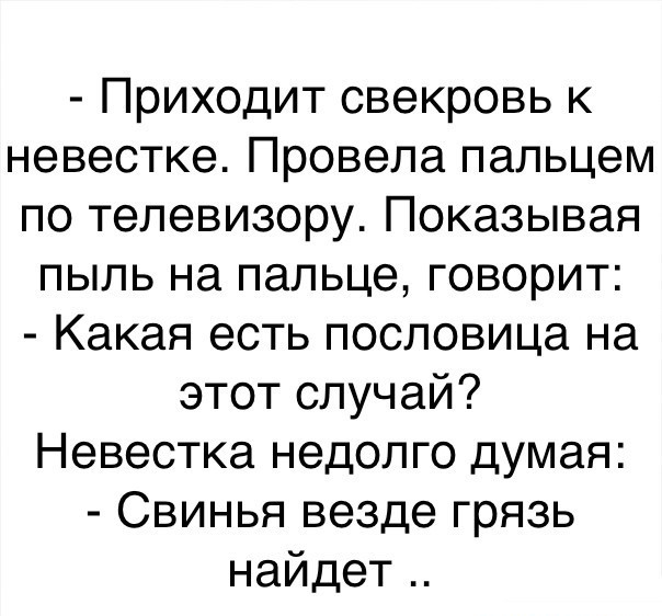 Приходит свекровь к невестке Провела пальцем по телевизору Показывая пыль на пальце говорит Какая есть пословица на этот случай Невестка недолго думая Свинья везде грязь найдет