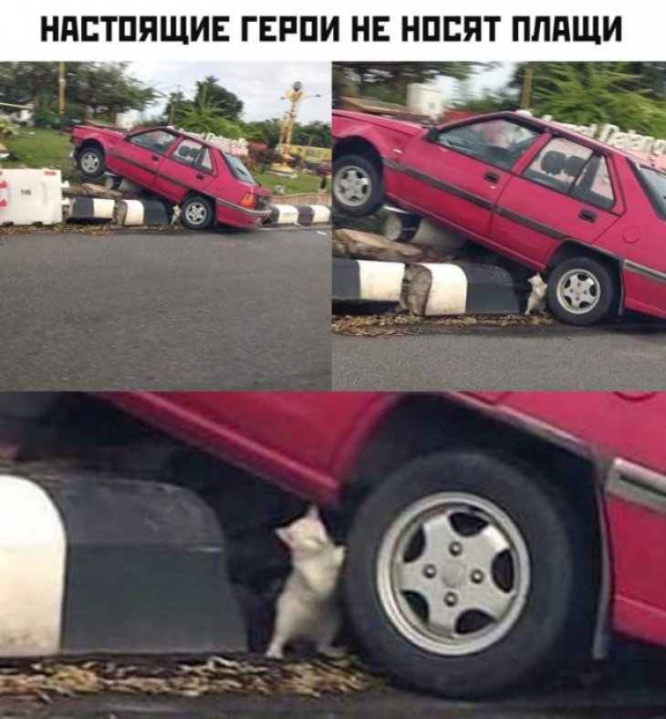 НПСТППЩИЕ ГЕРПИ НЕ НПБПТ ПППЩИ