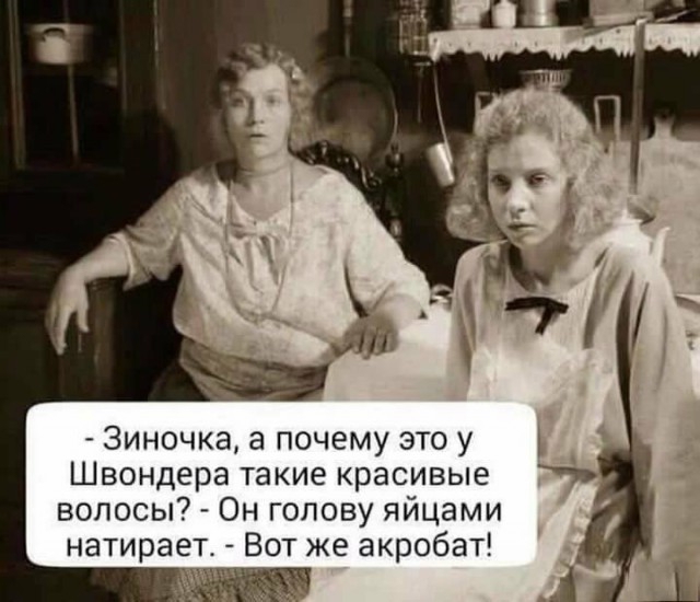 3иночка а почему это у Швондера такие красивые волосы Он голову яйцами натирает от е акробат іі