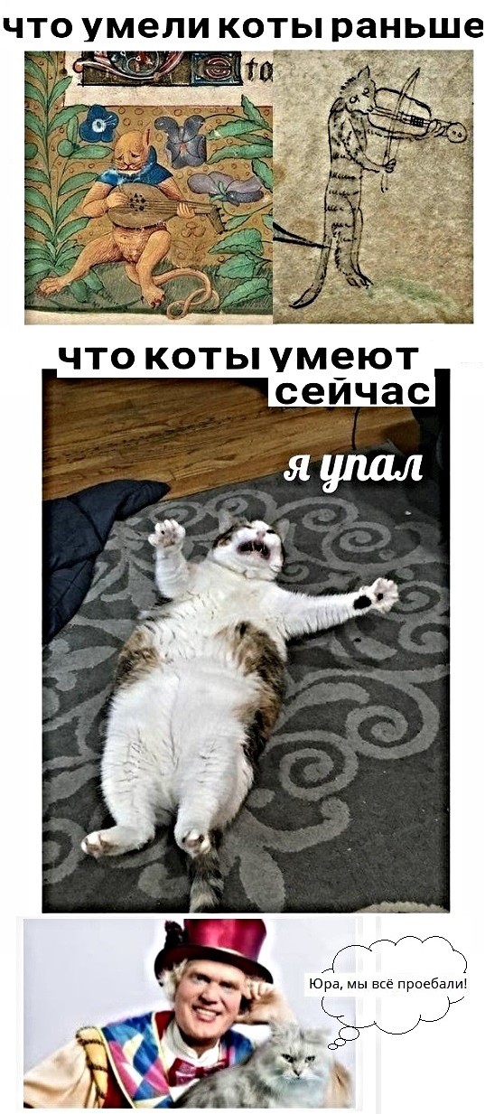 ЧТО умели КОТЬ раньше ЧТО КОТЬ УМЁЮТ сеичас 43 Юра мы все приезд