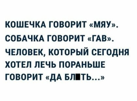 КОШЕЧКА ГОВОРИТ МЯУ СОБАЧКА ГОВОРИТ ГАВ ЧЕЛОВЕК КОТОРЫЙ СЕГОДНЯ ХОТЕЛ ЛЕЧЬ ПОРАНЬШЕ ГОВОРИТ дА БЛПТЬ