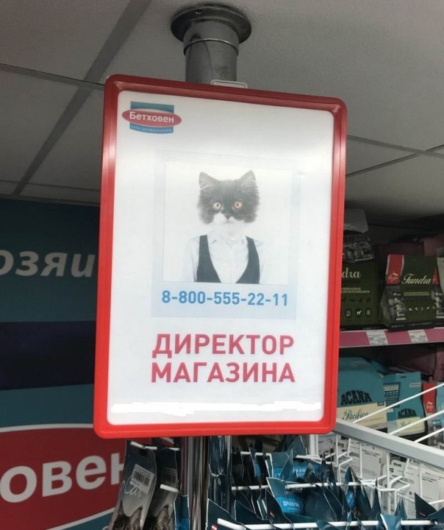 ДИРЕКТОР МАГАЗИНА