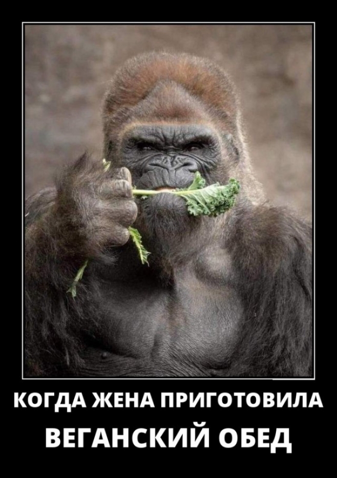 КОГДА ЖЕНА ПРИГОТОВИЛА ввгАнский овнд