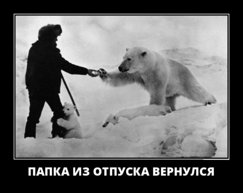 ПАПКА ИЗ ОТПУСКА ВЕРНУЛСЯ