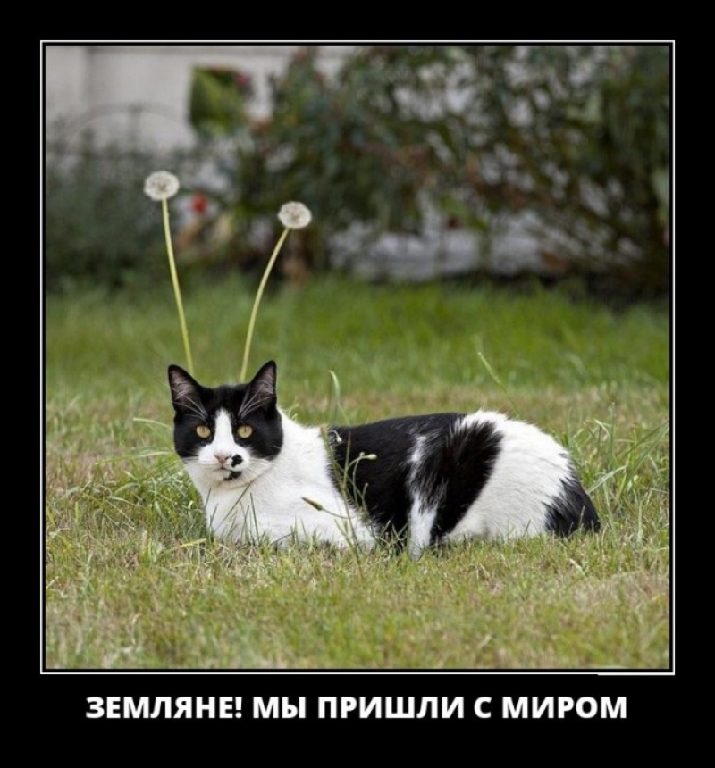 ЗЕМЛЯНЕ МЫ ПРИШЛИ С МИРОМ