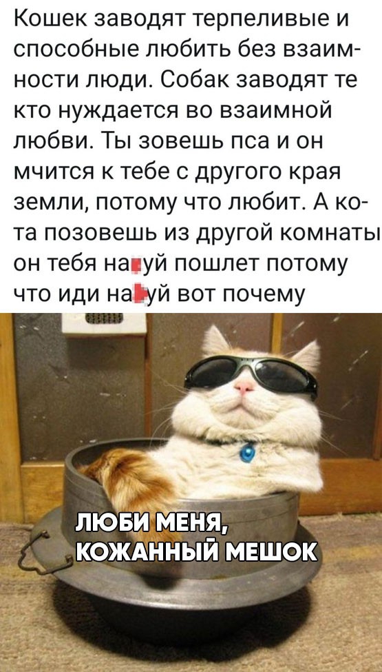 Кошек заводят терпеливые и способные любить без взаим ности люди Собак заводят те кто нуждается во взаимной любви Ты зовешь пса и он мчится к тебе с другого края земли потому что любит А ко та позовешь из другой комнаты он тебя натуй пошлет потому что иди на уй вот почему _