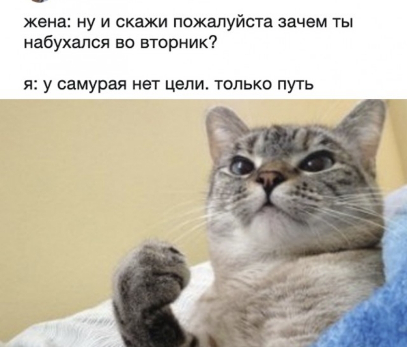 жена ну и скажи пожалуйста зачем ты набухался во вторник Я У самурая нет цели ТОЛЬКО ПУТЬ