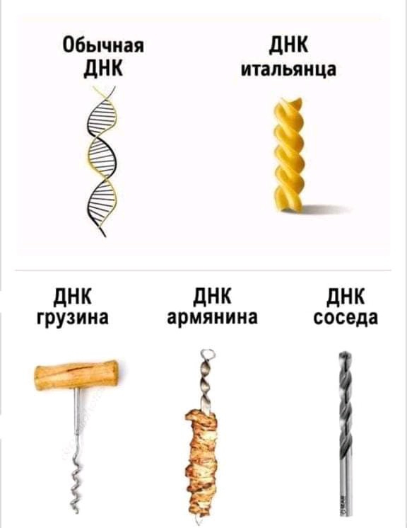 Обычная дНК дНК итальянца дНК дНК дНК грузина армянина соседа т 5