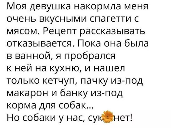 Моя девушка накормла меня очень вкусными спагетти с мясом Рецепт рассказывать отказывается Пока она была в ванной я пробрался к ней на кухню и нашел только кетчуп пачку изпод макарон и банку из под корма для собак Но собаки у нас сунет