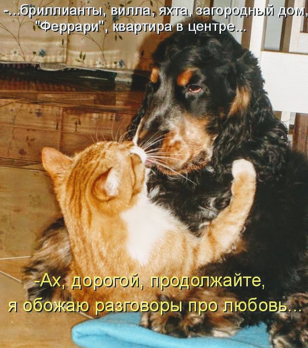 ёдопжайт я ббожащ ра юзеры про любовь