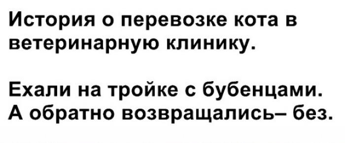 История о перевозке кота в ветеринарную клинику Ехали на тройке с бубенцами А обратно возвращались без