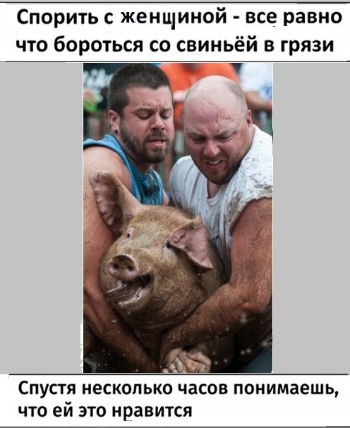 Спорить с женщиной все равно что бороться со свиньёй в грязи Спустя несколько часов понимаешь что ей это нравится