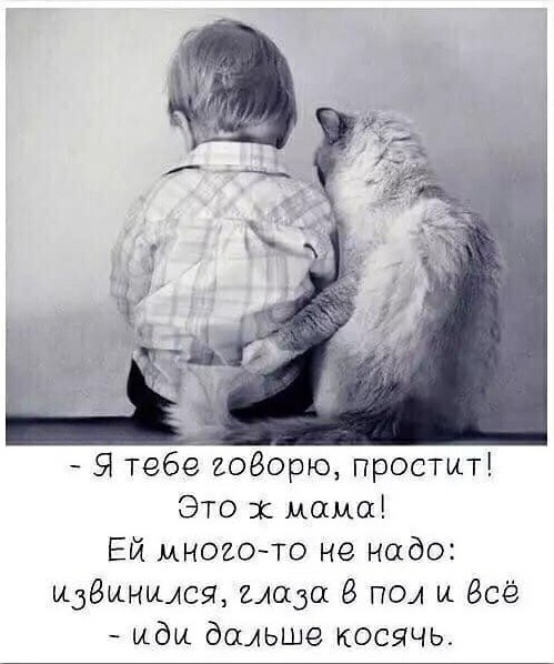 Я тебе иодорю простит Это х мама Ей многото не надо извинился надо 8 пол и Всё иди дальше косячь