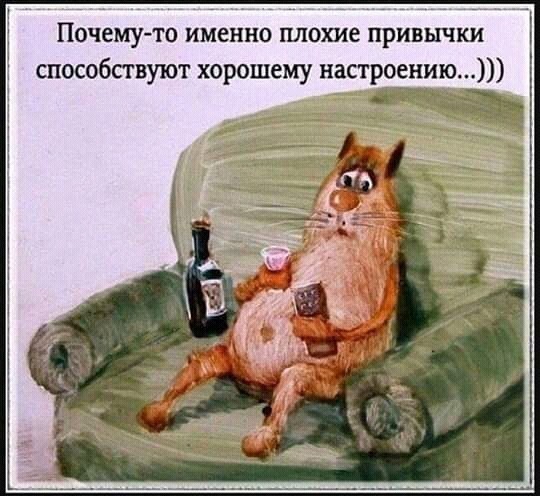 Почемуто именно плохие привычки способствуют хорошему настроению