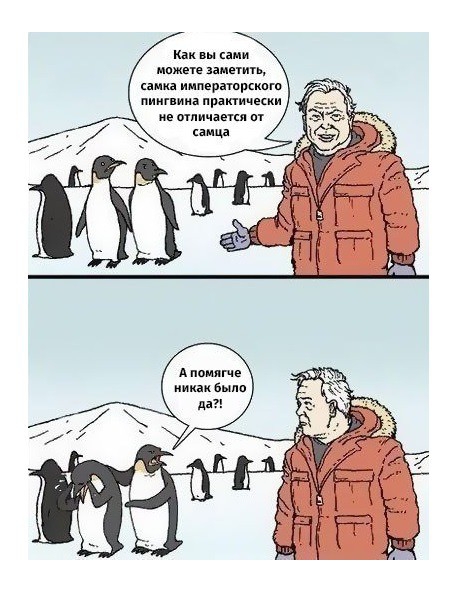 Как сами и пиши адин иипервюрсипго пиигвиин праитичекки ие спицами и