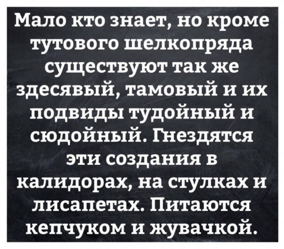 Мало кто знает но кроме тутового шелкопряда существуют так же здесявый тамовый и их подвиды тудойный и сюдойный Гнездятся эти создания в калидорах на стулках и лисапетах Питаются кепчуком и жувачкой